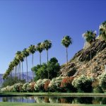US_AL_Palm Springs3